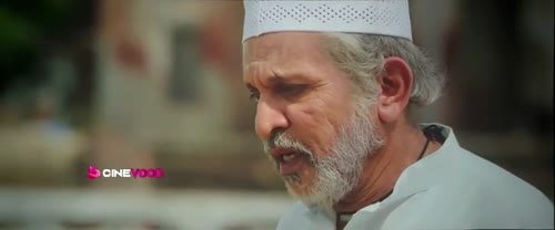 Hamare Baarah Full Movie Download